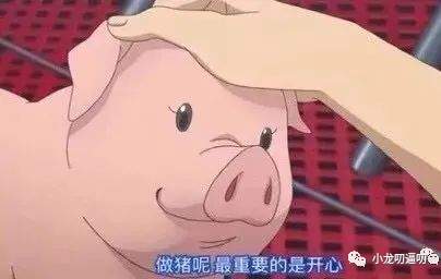 最爱秋天，又可以穿好看的丝袜啦！