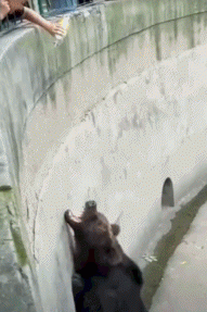 给我拿最大号的T T